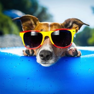 Pool Programs & Events